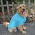Lovelonglong Pet Clothing Dog Costumes Basic Blank T-Shirt Tee Shirts for Medium Dogs, Turquoise, XXL