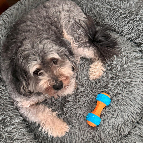 SPOT 5.5 Bam-Bones Plus Gigglers Dumbbell Durable Dog Chew Toy, for Medium Aggressive Chewers, Bamboo Fiber & Nylon
