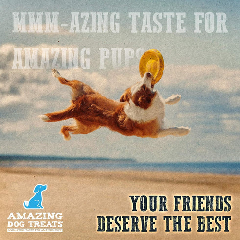 Amazing Dog Treats - Chicken Feet Dog Treats (25 Count) - All Natural, Premium Quality Chicken Feet Chews