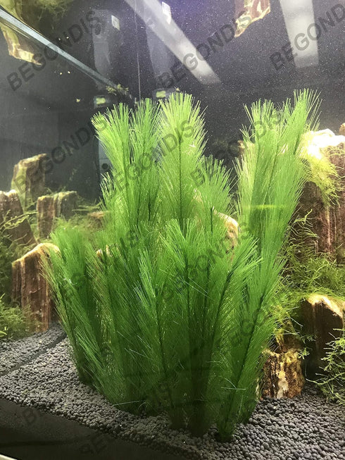 BEGONDIS 3Pcs Aquarium Decorations, Artificial Green Water Plants for Fish Tank, Silk Fabrics Plastic
