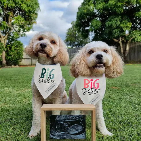 Realeaf Big Brother Big Sister Dog Bandanas Pet Scarf for Medium and Large Dogs New Baby Announcement Pet Accessories