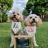 Realeaf Big Brother Big Sister Dog Bandanas Pet Scarf for Medium and Large Dogs New Baby Announcement Pet Accessories