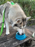 OHMO-Collapsible Dog Water Bowl, Anti Tip Over No Spill from Car Movement, 24oz Medium, Peacock Blue
