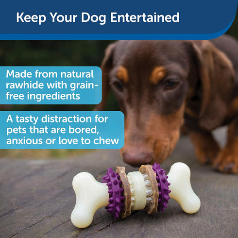 PetSafe Busy Buddy Bristle Bone, Treat-Holding Toy for Dogs with Treat Rings Included, Purple, Small
