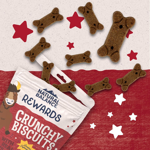 Natural Balance Limited Ingredient Rewards Crunchy Biscuits – 14 Ounce – Grain-Free Dog Treats, Sweet Potato & Bison