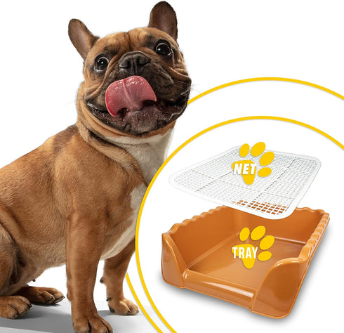Lutema Training Dog Potty Tray for Small & Medium Puppies - Orange Brown