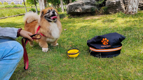 Pet Travel Bag (84 Cups) - 20L Leak-Proof Dog Food Container, Water-Resistant for Camping and Travel