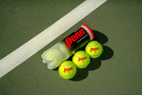 Penn Championship Regular Tennis Balls - Single Can
