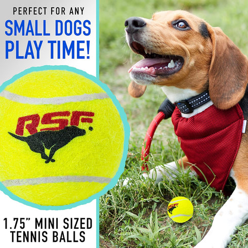 Franklin Pet Supply RSF Squeak Mini 1.75" Tennis Balls, Dog Toy Squeaks When Squeezed, Pack of 12