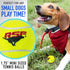 Franklin Pet Supply RSF Squeak Mini 1.75" Tennis Balls, Dog Toy Squeaks When Squeezed, Pack of 12