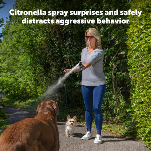 PetSafe SprayShield Animal Deterrent Spray, 2.4 Oz / 71 ML - Dog Spray Self Defense with Belt Clip