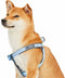 Blueberry Pet Soft & Comfy 3M Reflective Step-in Dog Harness, Baby Blue, Small, Chest Girth 15.5" - 19.5"