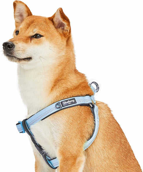 Blueberry Pet Adjustable Dog Harness – Soft & Comfy 3M Reflective, Baby Blue, Medium, Chest Girth 19.5" - 25.5"