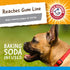 Arm & Hammer for Pets Nubbies Dental Toys, Gator Dental Chew Toy for Dogs, Reduces Plaque & Tartar