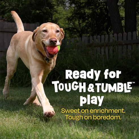 2 Brightkins Tough & Tumble Piece Watermelon Treat Dispenser - Interactive Dog Toys, Treat Dispensing Dog Toys, Slow