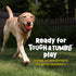 2 Brightkins Tough & Tumble Piece Watermelon Treat Dispenser - Interactive Dog Toys, Treat Dispensing Dog Toys, Slow