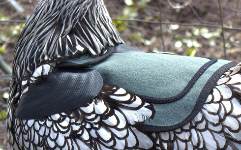 2 Pack DOWN UNDER OUTDOORS Small Chicken Saddles for Bantams and Young Birds, Includes Shoulder Covers (Teal)