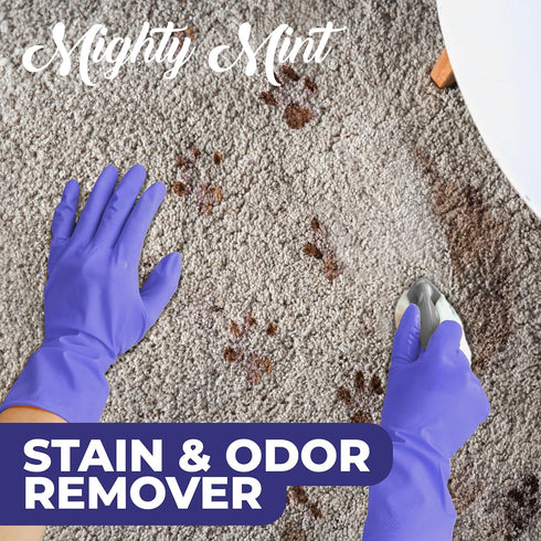 Mighty Mint Stain & Odor Remover, 16oz Natural Enzyme Spray for Safely Neutralizing Odor and Stains from Pets