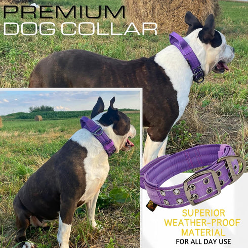 Heavy-Duty Dog Collar with Handle by ADITYNA, Reflective Purple for Large Dogs, Wide, Thick, Tactical, Soft Padded