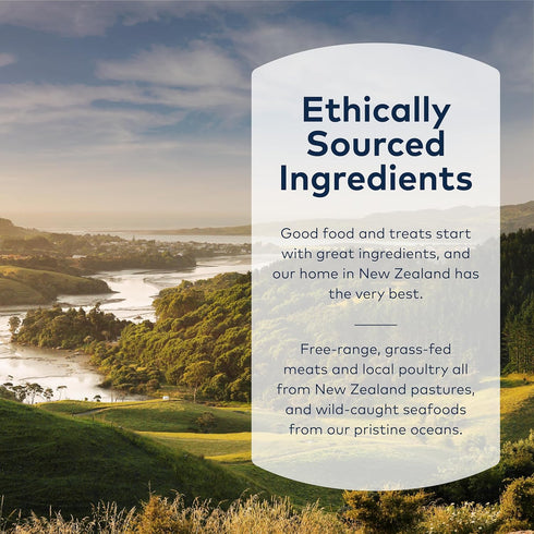 2.5 (Pack 1) ZIWI Dog Chews and Treats Beef Weasand - All Natural, Air-Dried, Single Protein, Grain-Free, High-Value
