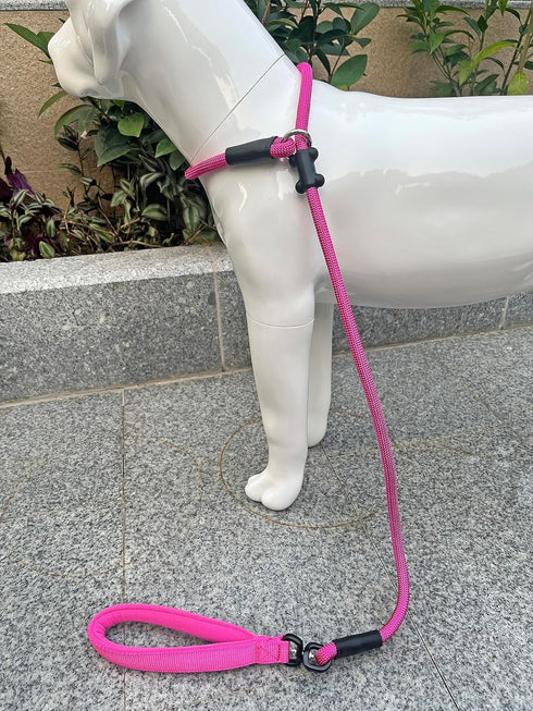 Slip Lead Dog Leash - Strong Nylon Rope Anti-Choking, Anti-Pull Outdoor Training Lead for Small Medium Large Dogs