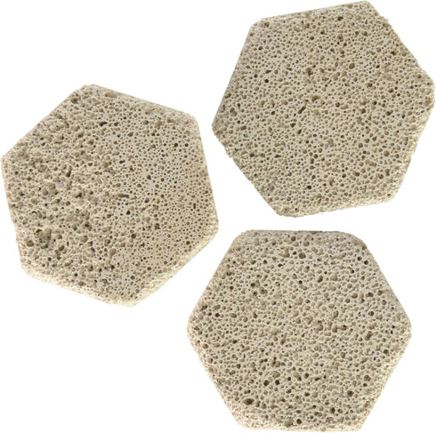 Brightwell Aquatics HeXiDiscs, Hexagonal Coral Frag Mounts for Marine Aquariums, 50 Count