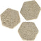 Brightwell Aquatics HeXiDiscs, Hexagonal Coral Frag Mounts for Marine Aquariums, 50 Count