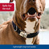 Coastal Pet Adjustable Dog Collar with Metal Buckle, Comfortable Fade-Resistant Collar for Walking & Tie Outs, Black,