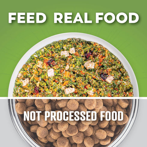 Dr. Harvey's Chicken & Garden Veggies Dog Food, Human Grade Grain-Free Dehydrated Food, Trial Size (5.5 Oz)
