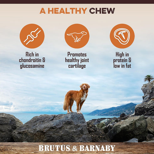 Gullet Sticks for Dogs, All Natural Single Ingredient Beef Jerky Chews, Healthy Beef Gullet Sticks