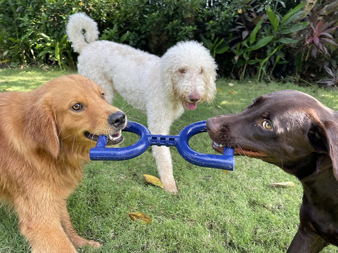 SuperChewy Tough Tug Pull Toy, Strong Natural Rubber for Interactive Tug-of-War for Medium & Large Breeds
