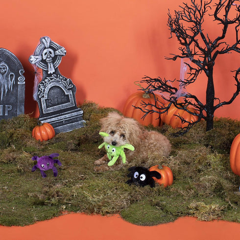 Fringe Studio Mini Dog Toy Set, Creepy Crawly Spiders, Set of 3, Multi-Colored