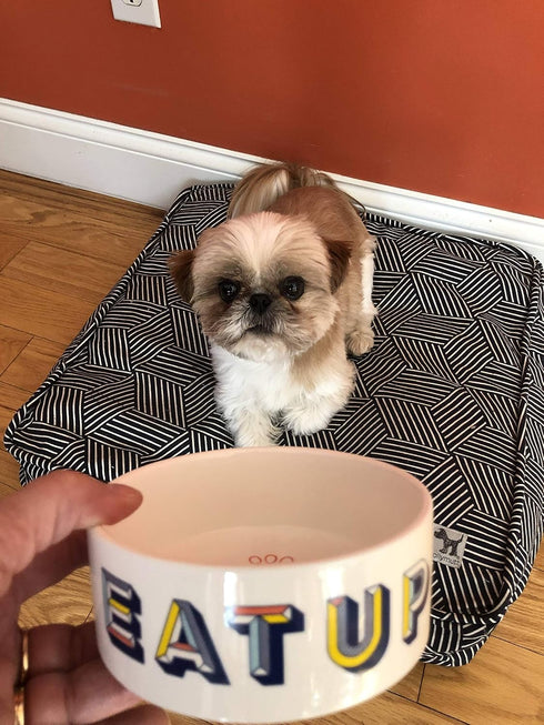 Park Life Designs - Ceramic Bowl for Dogs, Cats and Pets, Stylish Retro Design, Heavyweight and Non Slip, Chew Proof,