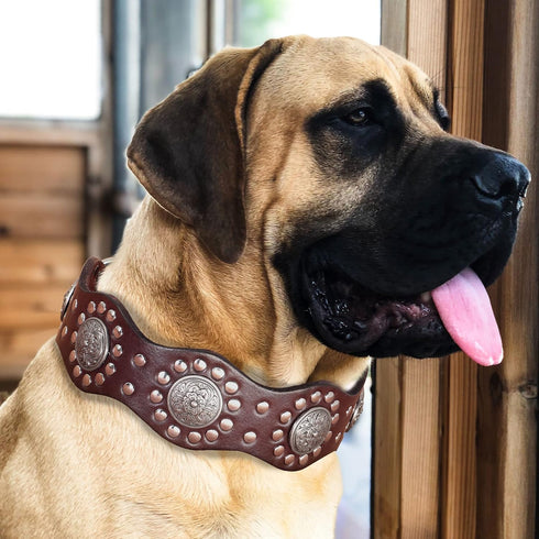 PET ARTIST Genuine Leather Dog Collar - Unique Design & Sturdy Leather, Heavy Duty for Rottweiler Pitbull Medium &