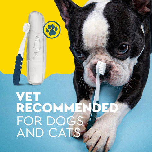 Pack 2 RADIUS Pet Toothbrush, Lush and Plus Soft Bristles, Designed to Clean Teeth and Help Prevent Tartar and Remove