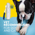 Pack 2 RADIUS Pet Toothbrush, Lush and Plus Soft Bristles, Designed to Clean Teeth and Help Prevent Tartar and Remove