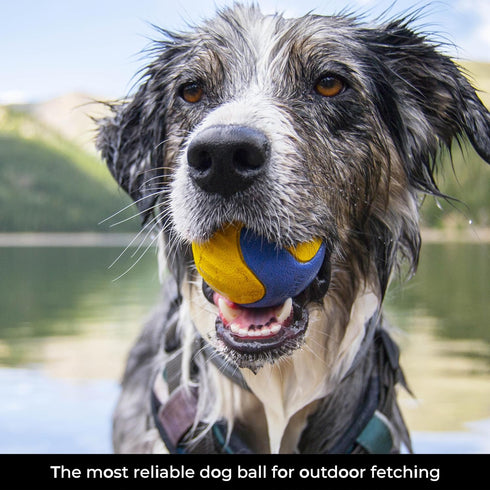 Chew Ring & Fetch Ball Combo for Aggressive Chewers | Heavy-Duty, Ultra-Durable Natural Rubber Toys for Medium to Large