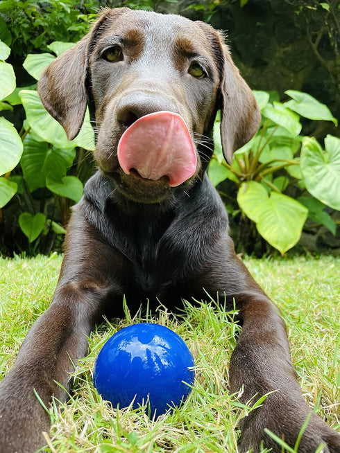 SuperChewy Tough Dog Ball Toy, Strong Natural Rubber, Great Fetch and Chew Toy for Aggressive Chewers