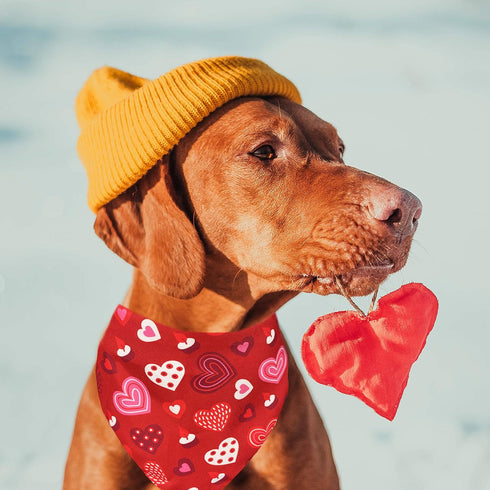 Valentines Dog Bandana, Holiday Cat Bandana Heart, 2 Pack Scarfs for Small Medium Large Pets