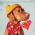 Valentines Dog Bandana, Holiday Cat Bandana Heart, 2 Pack Scarfs for Small Medium Large Pets