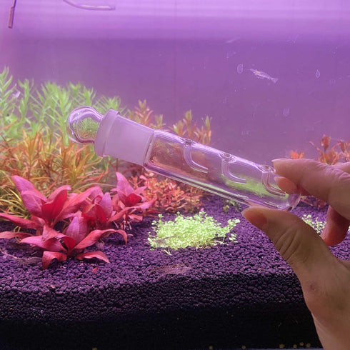 2 Pack 3 Holes Planaria Trap for Aquarium, Bristle Worm Catcher Snail Trap for Fish Tank Leeches Catcher