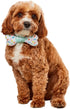 Rubie's Pet Party Collar Bow, Medium/Large, As Shown