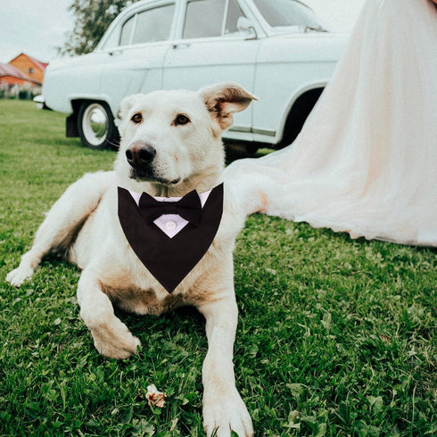 ADOGGYGO Formal Dog Tuxedo Wedding Bandana Collar with Bow Tie, Adjustable Dog Bowtie Collar for Small Medium Large
