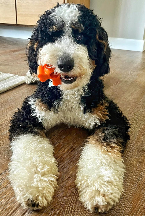 Tough Pup Puck Dog Toy for Aggressive Chewers, Long Lasting Chew Toys, Stuffable Center with Treats, Easy to Clean