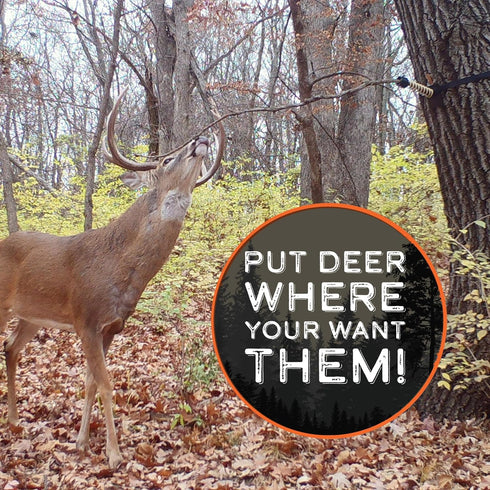 HODAG Licking Branch System for Effective Mock Scrape, Deer Hunting Accessories, Gear, Trail Camera Accessory