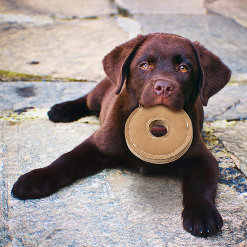 SPOT Dura-Fused Chunkies Ring Dog Toy - All Natural Leather and Felt, Durable Extra Thick Chew Toy for Aggressive