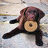 SPOT Dura-Fused Chunkies Ring Dog Toy - All Natural Leather and Felt, Durable Extra Thick Chew Toy for Aggressive