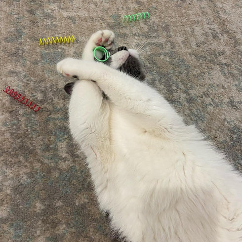 SPOT 3" 10-Pack Colorful Springs Cat Toys Bouncy Coils for Indoor Cats & Kittens to Swat, Chase & Bite, Safe