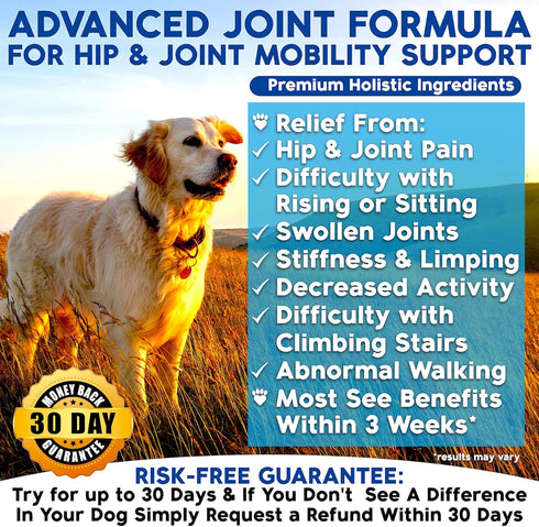 120 Well Loved Glucosamine for Dogs - Joint Supplement for Dogs, Made in USA, Vet Developed, Glucosamine Chondroitin