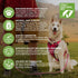 Inflammatory 60 Count Only Natural Pet Hemp Hip & Joint Support for Dogs - Supplement for Mobility Wellness Pain Relief